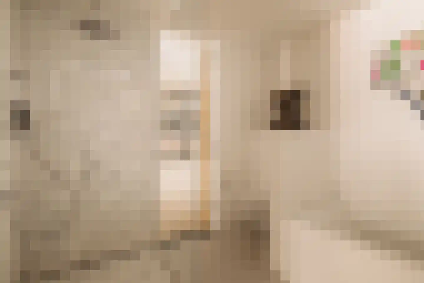 Pieter Cornelisz. Hooftstraat 210 Amsterdam thumbnail 24