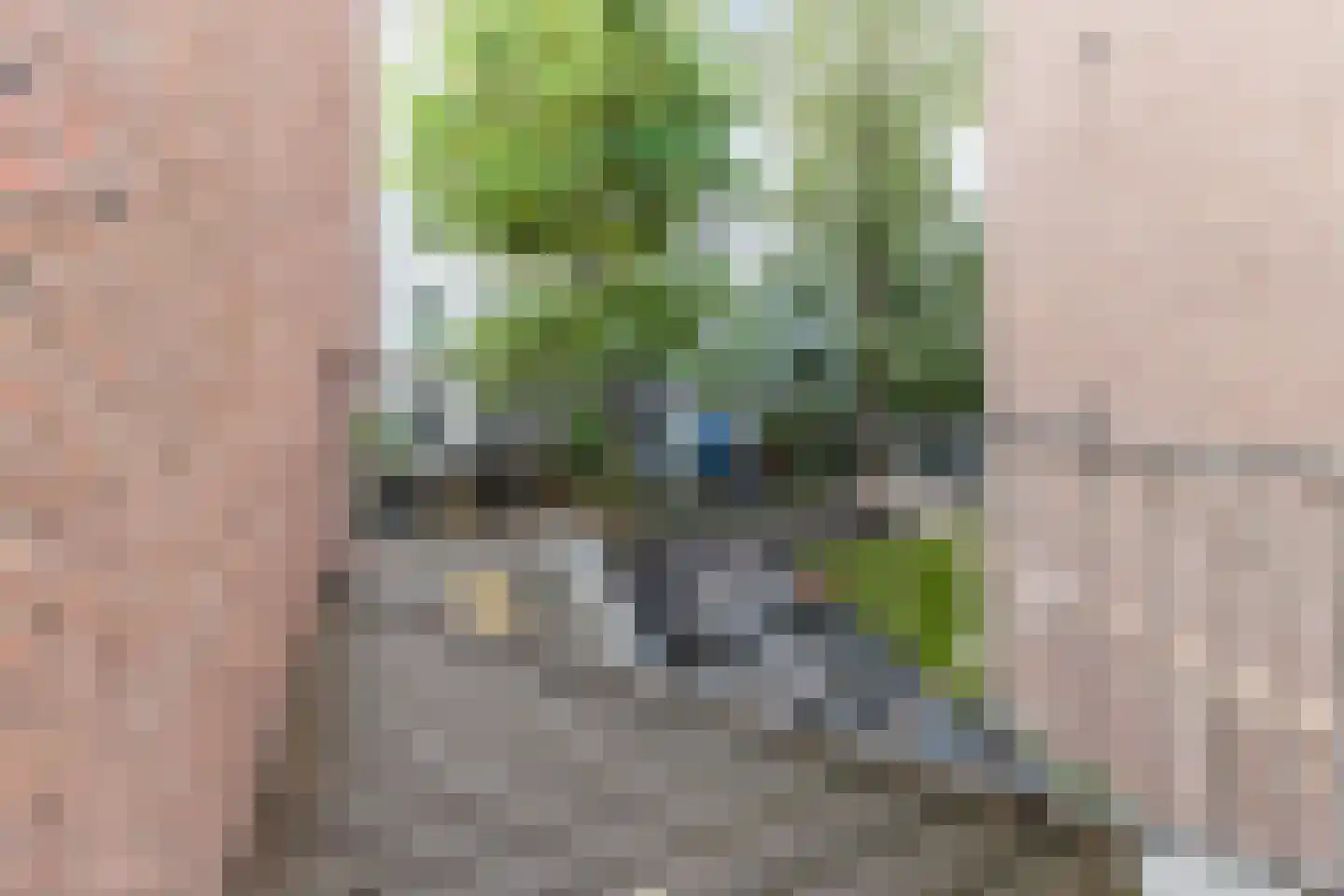 Pieter Cornelisz. Hooftstraat 35 H Amsterdam thumbnail 19