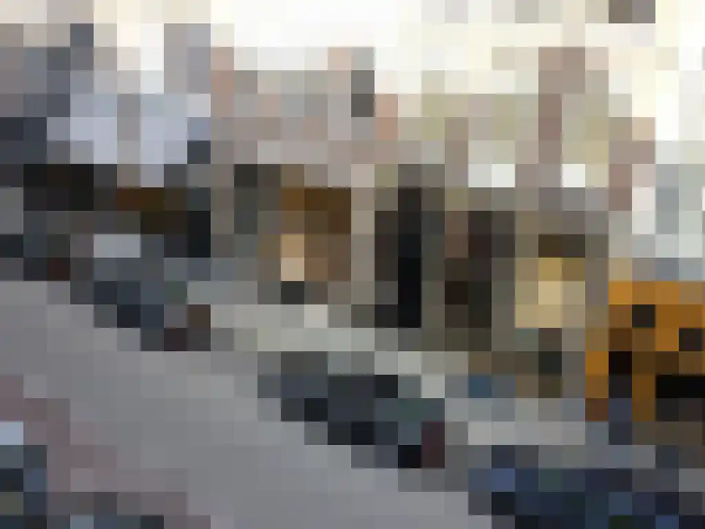 Pieter Cornelisz. Hooftstraat 35 H Amsterdam thumbnail 8