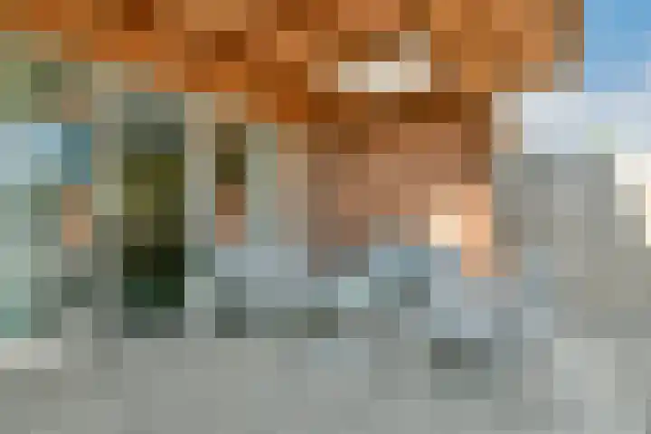 Pieter Cortpad 12 Middenbeemster thumbnail 21