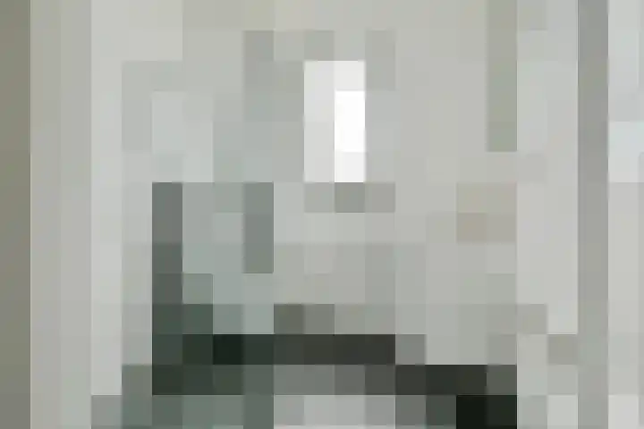 Pieter Cortpad 12 Middenbeemster thumbnail 29