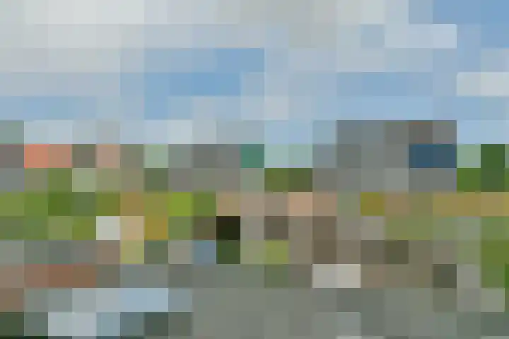 Pieter Cortpad 12 Middenbeemster thumbnail 32