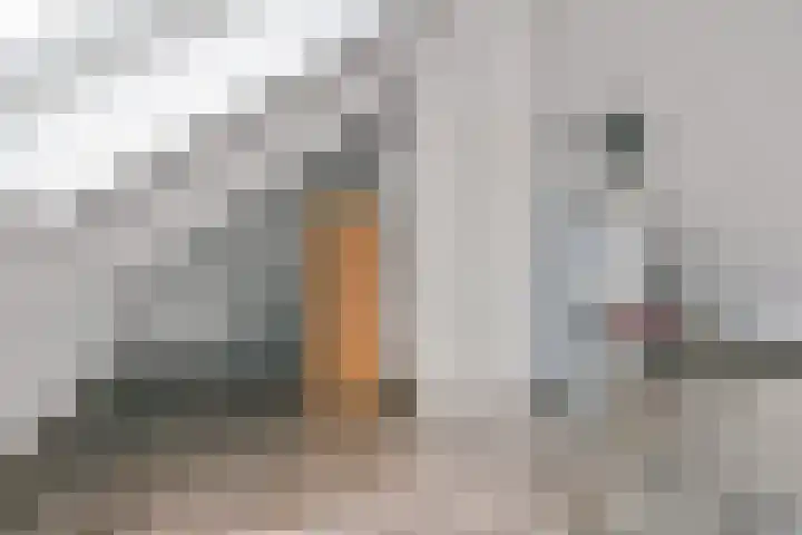 Pieter Cortpad 12 Middenbeemster thumbnail 34