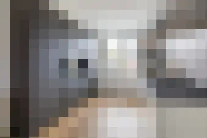 Pieter Cortpad 18 Middenbeemster thumbnail 17
