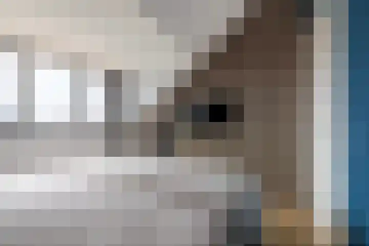 Pieter Cortpad 18 Middenbeemster thumbnail 35