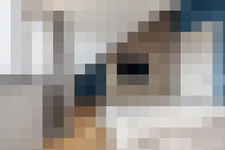 Pieter Cortpad 18 Middenbeemster thumbnail 37
