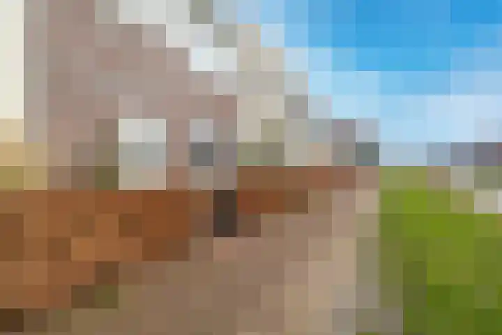 Pieter Cortpad 18 Middenbeemster thumbnail 6