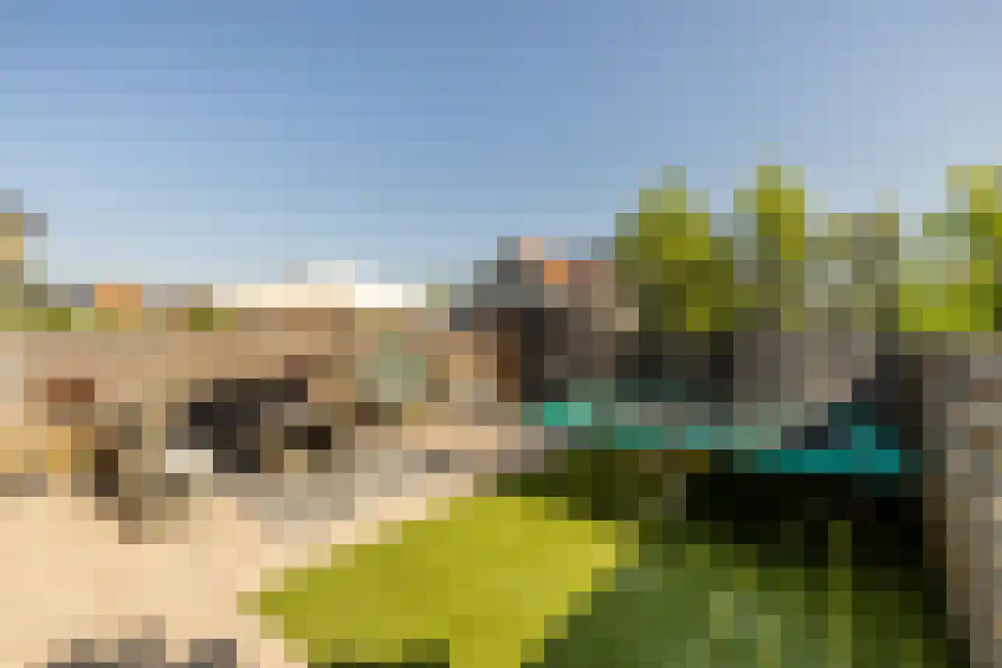 Pieter Cortpad 26 Middenbeemster thumbnail 34
