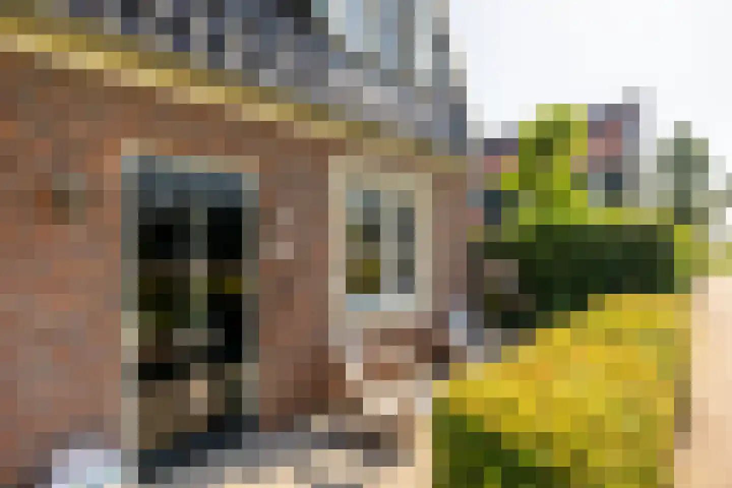 Pieter Cortpad 26 Middenbeemster thumbnail 6