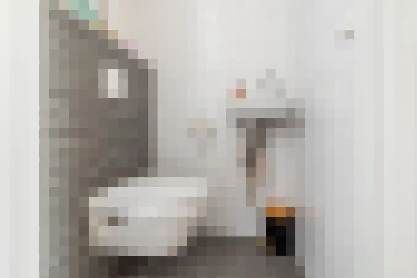 Pieter Cortpad 26 Middenbeemster thumbnail 8