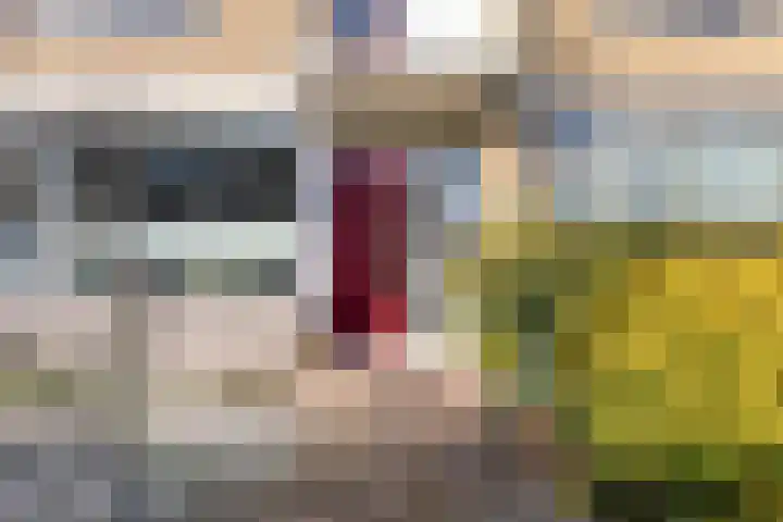 Pieter de Hoochlaan 1 Oegstgeest thumbnail 10