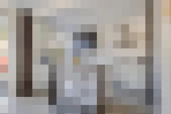 Pieter de Hoochlaan 1 Oegstgeest thumbnail 18