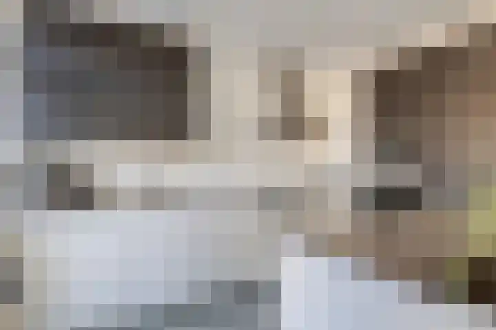 Pieter de Hoochlaan 1 Oegstgeest thumbnail 19