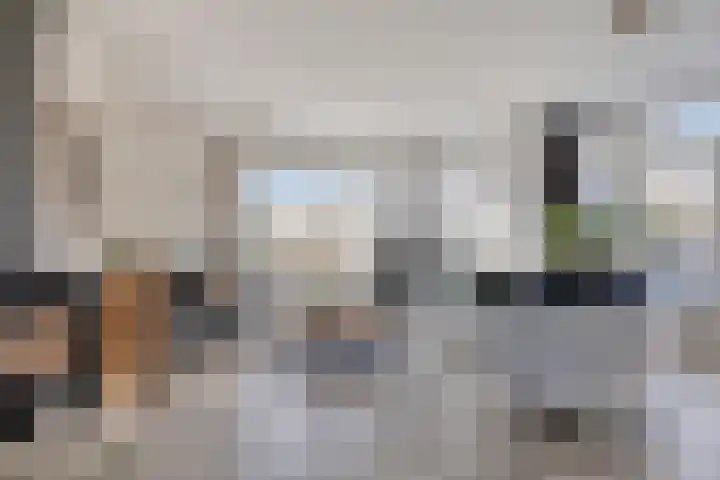 Pieter de Hoochlaan 1 Oegstgeest foto 2