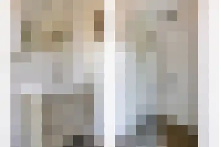 Pieter de Hoochlaan 1 Oegstgeest thumbnail 28
