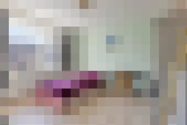 Pieter de Hoochlaan 1 Oegstgeest thumbnail 29