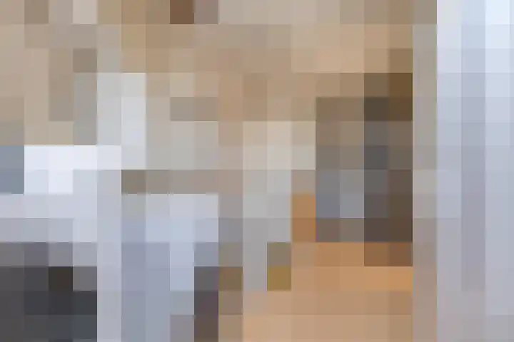 Pieter de Hoochlaan 1 Oegstgeest thumbnail 32