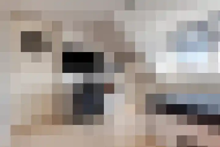 Pieter de Hoochlaan 1 Oegstgeest thumbnail 35