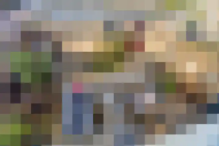 Pieter de Hoochlaan 1 Oegstgeest thumbnail 40