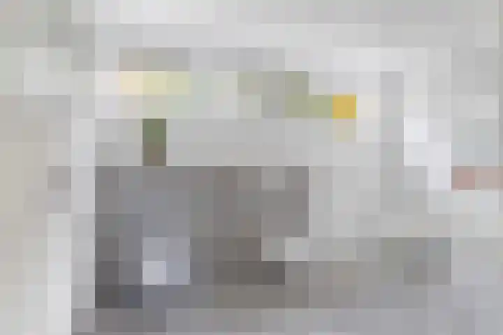 Pieter de Hoochlaan 122 Apeldoorn thumbnail 11