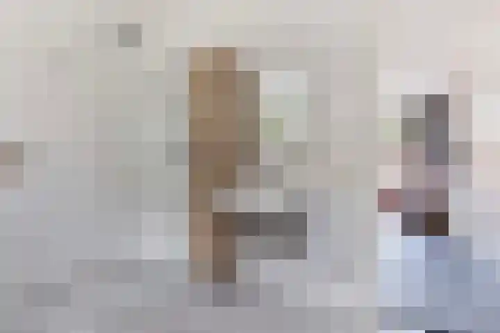 Pieter de Hoochlaan 122 Apeldoorn thumbnail 13