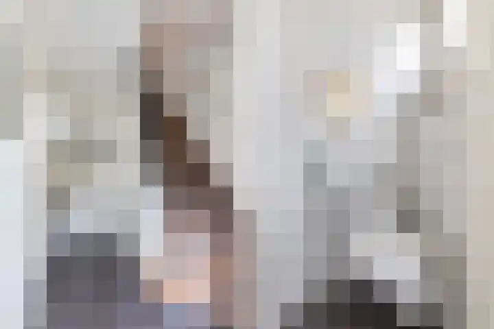 Pieter de Hoochlaan 122 Apeldoorn thumbnail 14