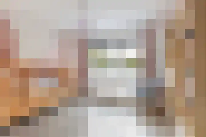 Pieter de Hoochlaan 122 Apeldoorn thumbnail 15