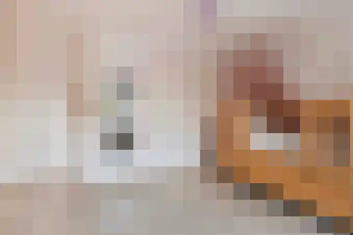 Pieter de Hoochlaan 122 Apeldoorn thumbnail 16