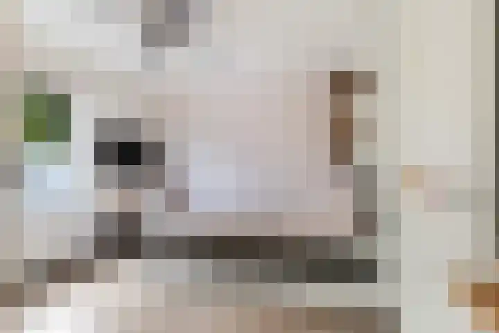 Pieter de Hoochlaan 122 Apeldoorn thumbnail 17