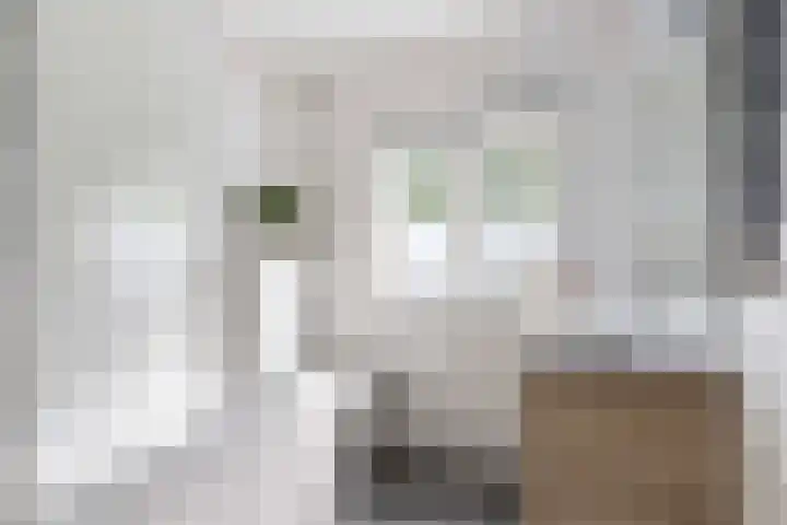 Pieter de Hoochlaan 122 Apeldoorn thumbnail 19