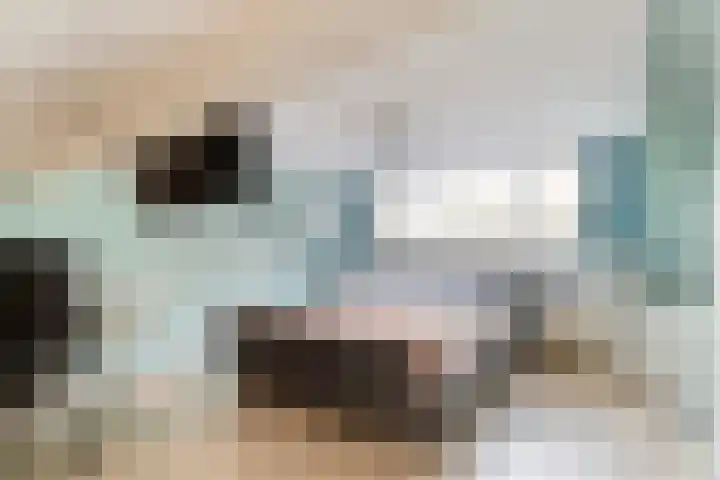 Pieter de Hoochlaan 122 Apeldoorn thumbnail 23
