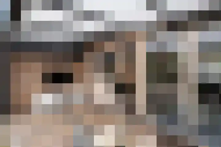 Pieter de Hoochlaan 122 Apeldoorn thumbnail 25