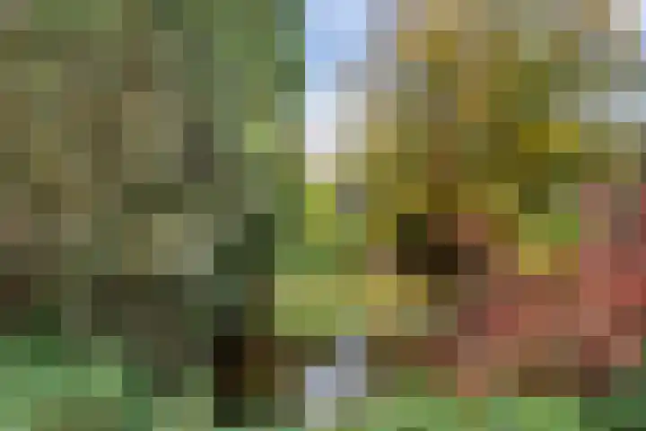 Pieter de Hoochlaan 122 Apeldoorn thumbnail 30