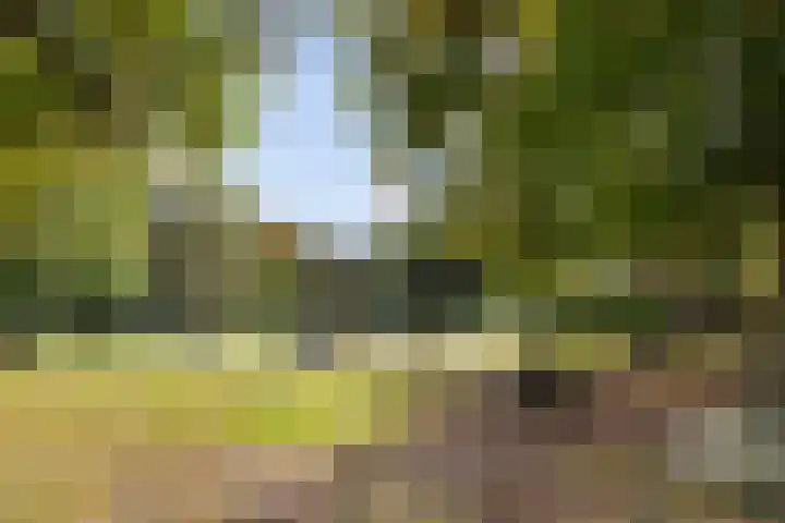 Pieter de Hoochlaan 122 Apeldoorn thumbnail 31