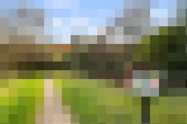 Pieter de Hoochlaan 122 Apeldoorn thumbnail 32