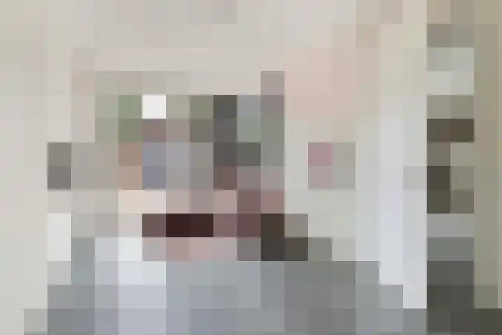 Pieter de Hoochlaan 122 Apeldoorn thumbnail 9