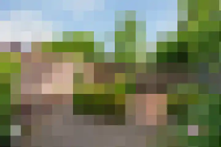 Pieter de Hoochlaan 126 Apeldoorn thumbnail 12