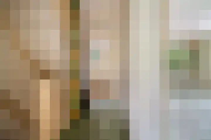 Pieter de Hoochlaan 126 Apeldoorn thumbnail 16