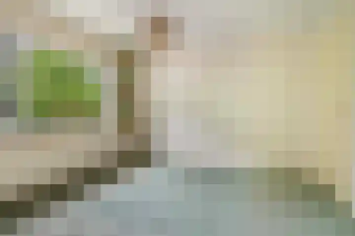 Pieter de Hoochlaan 126 Apeldoorn thumbnail 18