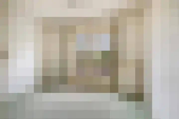 Pieter de Hoochlaan 126 Apeldoorn thumbnail 19