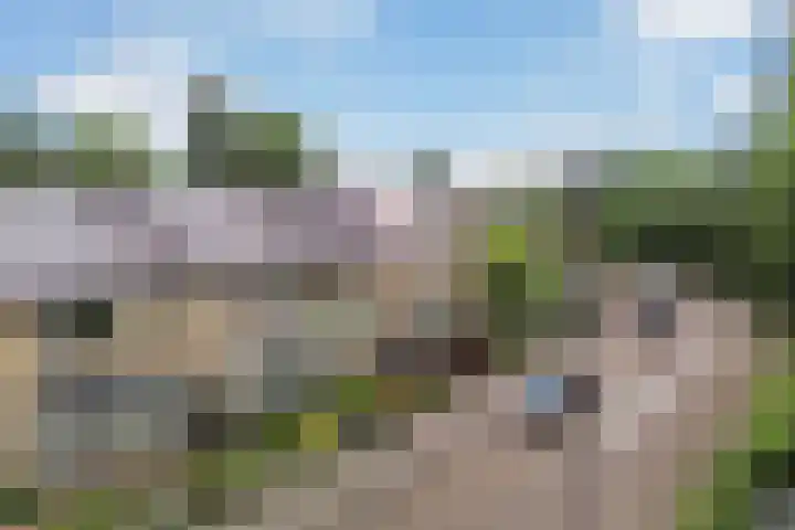 Pieter de Hoochlaan 126 Apeldoorn thumbnail 28