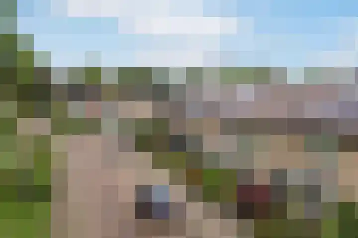 Pieter de Hoochlaan 126 Apeldoorn thumbnail 29