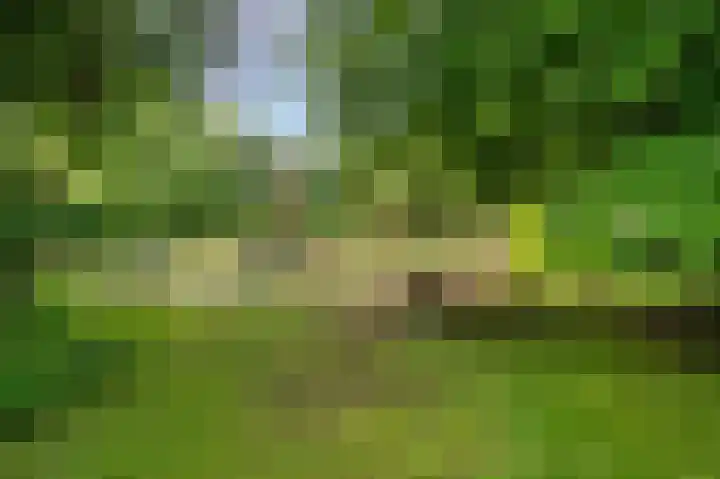 Pieter de Hoochlaan 126 Apeldoorn thumbnail 4