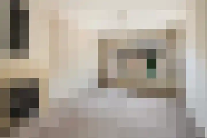 Pieter de Hoochlaan 126 Apeldoorn thumbnail 8