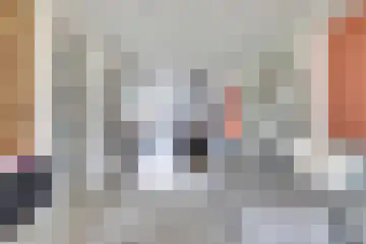Pieter de Hoochlaan 5 Yerseke thumbnail 13