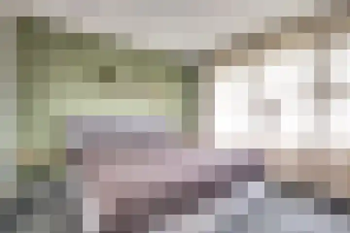 Pieter de Hoochlaan 5 Yerseke thumbnail 20