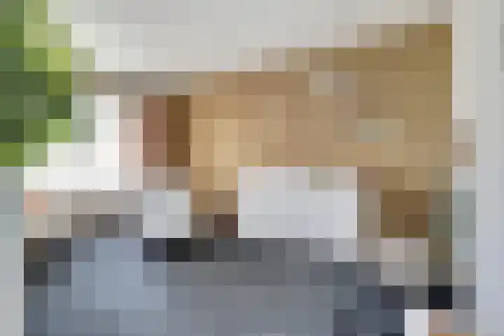 Pieter de Hoochlaan 5 Yerseke thumbnail 23