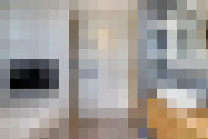 Pieter de Hoochlaan 5 Yerseke thumbnail 28