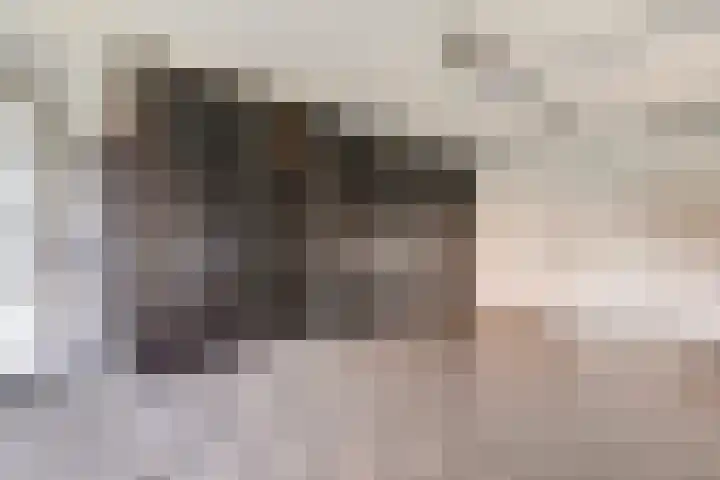 Pieter de Hoochlaan 5 Yerseke thumbnail 31