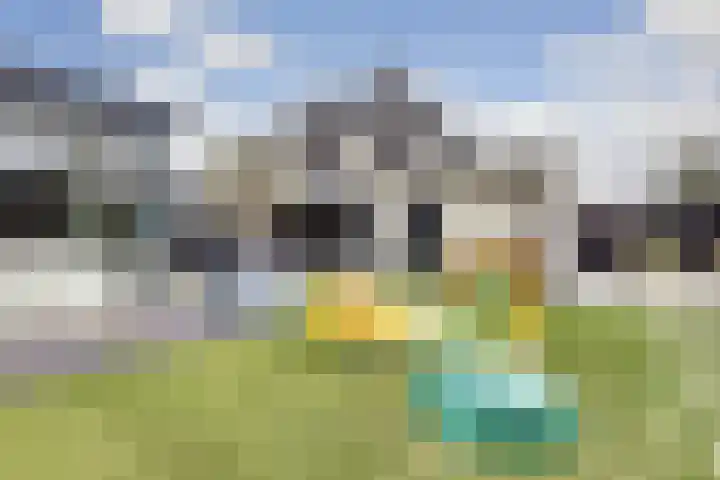 Pieter de Hoochlaan 5 Yerseke thumbnail 34
